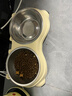 疯狂的主人猫碗双碗不锈钢狗碗宠物碗防打翻食盆猫咪粮盆喝水一体宠物用品 实拍图