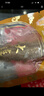 张奶奶 大连冷冻即食海参礼盒非干货天然辽刺参高品质海鲜无污染 即食海参 280g 尝鲜款【6-8头】 体壁厚实 Q软弹牙 实拍图