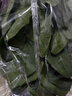 大菠菜300g 实拍图