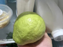 仙满缘奶油芭乐 白心软糯 广西玉林产地直发新鲜应季水果 5斤净重 5斤 实拍图