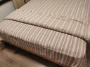 黄河口老粗布四件套全棉【A类品质】秋冬加厚纯棉四件套 床单被套床上四件套 咖啡之翼 床单款 1.8/2.0米床四件套/被套2.0*2.3 实拍图