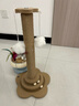 HELLOJOY猫抓柱剑麻猫抓板猫玩具耐抓耐磨不掉屑猫爬架立式自嗨解闷用品 实拍图