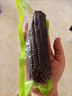 抱抱你 【大棒300g】头茬黄白玉米粘黏甜糯黑玉米棒营养代餐苞米玉米 【全家分享】黑糯玉米14支*300g 实拍图