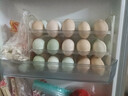 家の物语日本侧门鸡蛋收纳盒冰箱用食品级保鲜盒厨房整理专用装放蛋托神器 实拍图