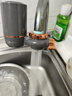 美的（Midea）净水器水龙头过滤器家用自来水滤水器直饮前置过滤器厨房卫生间通用除水垢除余氯双出水可清洗滤芯 一机七芯【五年免换芯】 实拍图