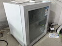 先科（SAST）冰吧冷藏柜 欧式恒温红酒柜办公室酒店家用电冰箱迷你小型单门电竞茶叶保鲜柜展示留样饮料药品柜 50升白（全冷藏保鲜+带锁） 实拍图