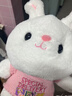 爱尚熊兔子玩偶毛绒玩具小女孩布娃娃女生生日元旦节礼物儿童送女友公仔 实拍图