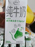 伊利【新鲜日期】纯牛奶250ml*21盒 全脂牛奶 优质乳蛋白 礼盒装 实拍图