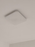 欧普照明（OPPLE）24瓦吸顶灯客厅卧室灯具可调光LED灯饰呵护光防蓝光10㎡ 冰玉III  实拍图