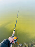 达亿瓦（DAIWA）新款 SWEEPFIRE 进口入门路亚竿 轻量远投路亚钓鱼竿钓竿 662MFS（1.98米中调直柄） 实拍图