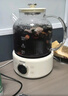 OIDIRE（偶点）全玻璃养生壶 花茶壶无胶水煮茶壶 煮茶器办公室恒温养生壶烧水壶电热水壶炖煮智能保温 1L ODI-HC01花茶养生壶【带滤网】 实拍图