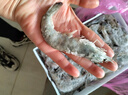 鲜京采 原装进口50/60厄瓜多尔白虾 去冰净重3.3斤 82-99只/盒 源头直发 实拍图