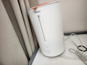 美的（Midea）热蒸发空气加湿器鼻炎家用卧室静音孕妇母婴幼儿小型抗菌取暖补水仪雾化器礼物国家补贴SR-3R50 实拍图