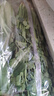 带根香菜100g 实拍图