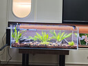吉印刀锋s鱼缸灯led灯防水全光谱鱼缸照明灯水草灯小型超白鱼灯66cm 实拍图