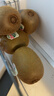 佳沛（zespri）绿奇异果 优选大果12粒单果约113-135g  水果 猕猴桃 实拍图