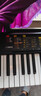 雅马哈(YAMAHA) PSR- F52儿童成人通用零基础初学入门娱乐演奏电子琴 实拍图