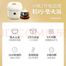 小熊（Bear）电饭煲2~3人 迷你小容量智能预约电饭锅 多功能微压柴火元釜内胆2L  DFB-B20A1 实拍图