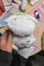 Hello Kitty儿童耳罩冬季女童保暖毛绒耳暖护耳套女孩耳捂耳包EC712 实拍图