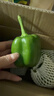 新鲜绿菜椒现摘山东圆椒青椒太空甜椒蔬菜灯笼椒生吃蔬菜沙拉 新鲜圆椒1斤 实拍图