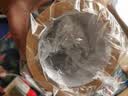 易利丰（elifo）牛皮纸胶带 免水可贴 强粘性 可手撕 宽48mm*长18m 6卷装 快递打包 考试季 封箱胶带 不透明胶纸 纸皮胶带纸 实拍图