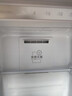 海尔（Haier）【麦浪】180升立式小冰柜家用小型风冷无霜冷藏柜冷冻柜两用冷柜商用小冰箱BD-180WGHDGWF国家补贴 实拍图