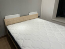 全友家居 进口天然乳胶床垫1.8x2米弹簧环保椰棕偏硬床垫子家用105190 实拍图