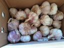京鲜生河南杞县大蒜带皮新鲜干蒜带箱2斤 单果4.5-5cm 源头直发包邮 实拍图