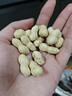 三只松鼠龙岩花生400g/袋 坚果炒货办公室宿舍休闲零食特产小吃 实拍图