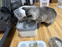 Panasonic松下宠物抑菌饮水机猫咪饮水机自动循环 猫咪喂水机【小笑脸】 实拍图