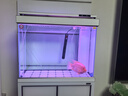 森森（SUNSUN）大型鱼缸底过滤水族箱客厅家用落地玻璃生态金鱼缸 超白款升级底滤 0.8米长35cm宽（黑白可选） 实拍图