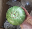 京鲜生 绿宝香瓜甜瓜  4粒装 单果200g起 中秋生鲜水果 实拍图