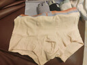猫人【超柔高品质婴儿棉】桑蚕丝裆男士内裤男纯棉平角裤男生四角短裤 实拍图