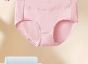 都市丽人内裤女纯棉舒适简约短裤头中腰女士内裤4条ZK0A13 实拍图