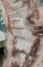 鲜京采内蒙古羔羊整排 净重3斤 生鲜速冻羊肉 羊排烧烤清炖食材 实拍图