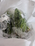带根香菜100g 实拍图