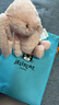 Jellycat害羞胭脂粉色邦尼兔柔软舒适动物毛绒玩偶儿童送礼生日礼物 害羞胭脂粉色邦尼兔 Small 实拍图