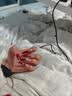 淳吟屋穿戴甲女美甲贴片爆款中长款重复用闪钻猫眼假指甲片果冻胶可工具 红礼服【S】10片 实拍图
