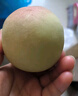 山东当季青州蜜桃新鲜脆甜可口毛桃冬桃产地直发-鲜集 青州蜜桃带箱5斤 实拍图
