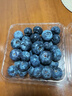 怡颗莓Driscoll's当季新鲜云南蓝莓14mm+ 4盒装 约125g/盒 京东超市水果 实拍图