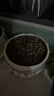 德沃多多肉营养土2.5KG植物种植基质土壤颗粒花盆土(小苗20%颗粒+80%土) 实拍图