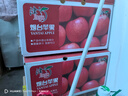 京鲜生 烟台红富士苹果 净重8斤  单果230g起 水果礼盒 实拍图