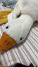 丝媛仿真大白鹅公仔毛绒玩具动物抱枕大鹅趴枕玩偶情人节圣诞节礼物 实拍图