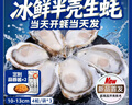 贝司令 鲜活乳山生态生蚝3XL 净重4斤 10-15只 生鲜源头直发 实拍图