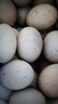 正宗松花蛋50g-59g皮蛋20枚装无铅工艺鸭蛋变蛋散养生鲜超市批发 4枚 实拍图
