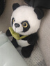 熊猫熊小熊猫玩偶毛绒玩具娃娃花花公仔圣诞节礼物儿童陪睡布娃娃抱抱熊 实拍图
