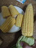 佳农宝菜山东带绿皮新鲜水果玉米健康轻食玉米4-6根4.5斤装源头直发 实拍图