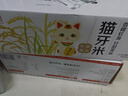 京觅猫牙米 20斤 南方籼米 丝苗米 5kg*2袋箱装 实拍图