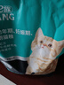力狼（LILANG）猫粮e族幼猫奶糕鲜鸭肉离乳期奶猫专用全价天然猫粮2.5kg 实拍图