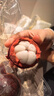 进口山竹约500g（单果50g起） 实拍图